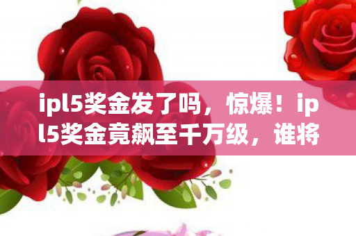 ipl5奖金竟飙至千万级图片