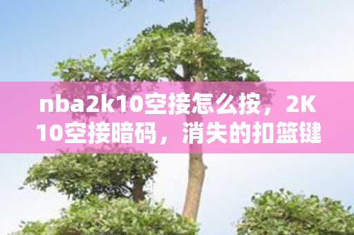 nba2k10空接怎么按图片
