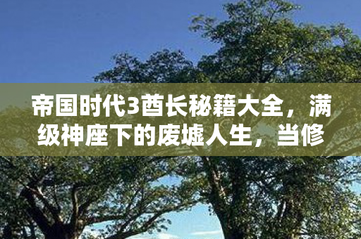 帝国时代3酋长秘籍大全图片