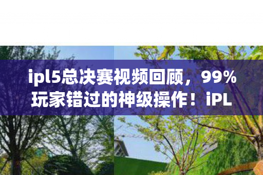 iPL5总决赛10大逆天瞬间深度复盘心得图片