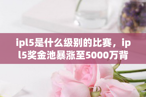 ipl5奖金池暴涨至5000万背后图片