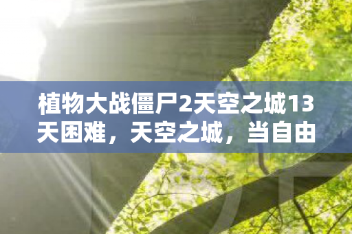植物大战僵尸2天空之城13天困难图片