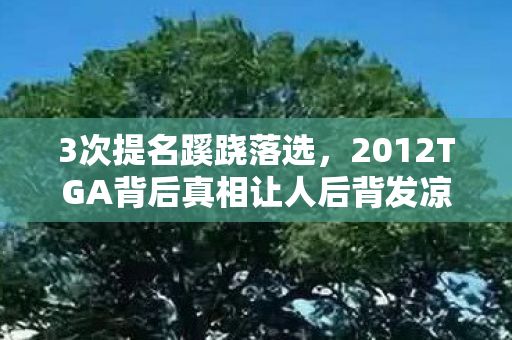 2012TGA背后真相让人后背发凉图片