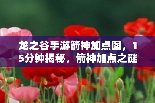 龙之谷手游箭神加点图图片