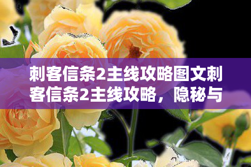 刺客信条2主线攻略图文刺客信条2主线攻略,隐秘与智慧的双重挑战,刺客信条2,隐秘与智慧的双重挑战主线攻略 刺客信条2主线攻略图文刺客信条2主线攻略,隐秘与智慧的双重挑战,刺客信条2,隐秘与智慧的双重挑战主线攻略