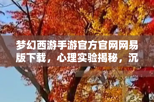 梦幻西游手游官方官网网易版下载图片