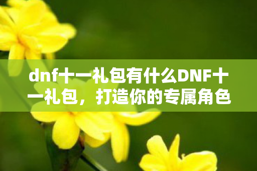 dnf十一礼包有什么DNF十一礼包，打造你的专属角色，开启冒险之旅，DNF十一礼包，打造专属角色，开启冒险之旅