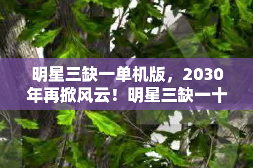 2030年再掀风云图片
