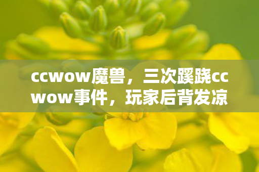 三次蹊跷ccwow事件图片