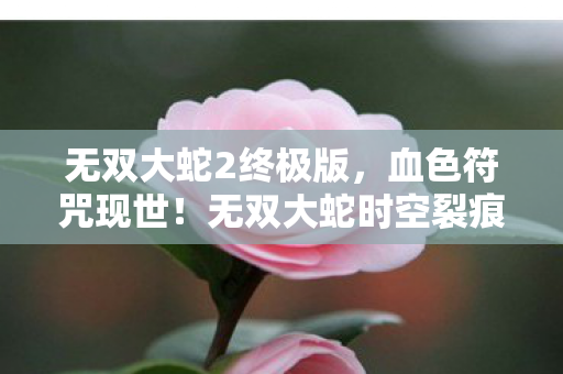 无双大蛇时空裂痕中的千年悬案与毛骨悚然真相图片