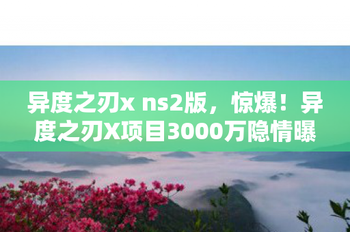 异度之刃X项目3000万隐情曝光图片