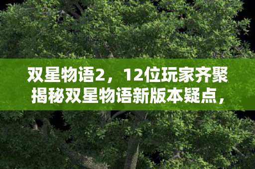 12位玩家齐聚揭秘双星物语新版本疑点图片