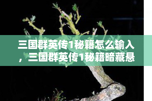 三国群英传1秘籍怎么输入图片