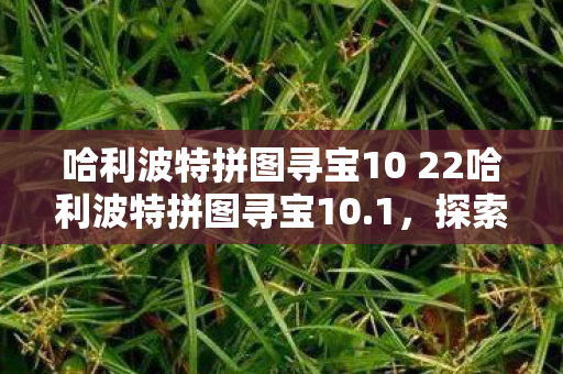 哈利波特拼图寻宝10 22哈利波特拼图寻宝10.1,探索霍格沃茨的隐秘角落,哈利波特,霍格沃茨隐秘角落的寻宝之旅 哈利波特拼图寻宝10 22哈利波特拼图寻宝10.1,探索霍格沃茨的隐秘角落,哈利波特,霍格沃茨隐秘角落的寻宝之旅
