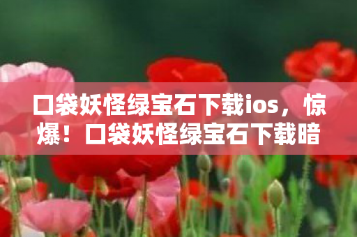 口袋妖怪绿宝石下载暗藏3大猫腻图片