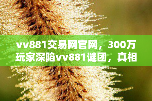 300万玩家深陷vv881谜团图片