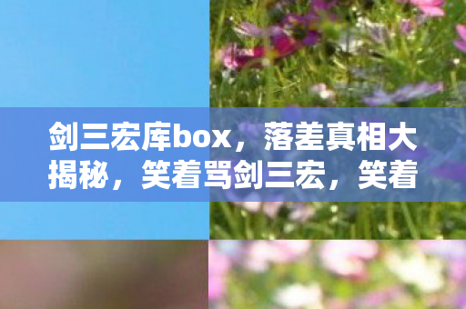 剑三宏库box图片