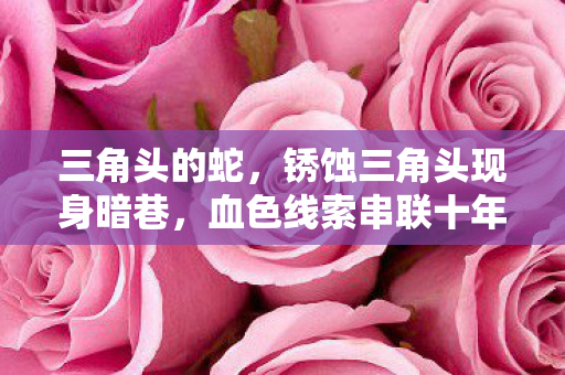 血色线索串联十年悬案图片