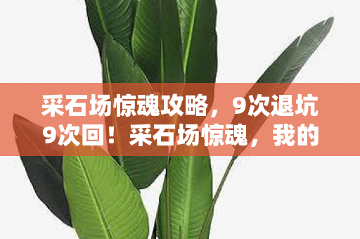 我的生死轮回与行业巨变图片