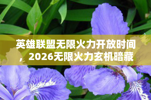 英雄联盟无限火力开放时间图片
