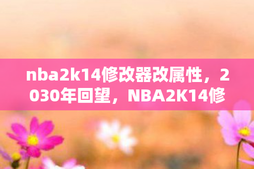 NBA2K14修改器十年狂欢图片