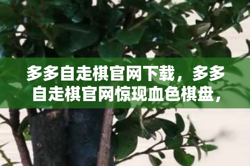 多多自走棋官网惊现血色棋盘图片