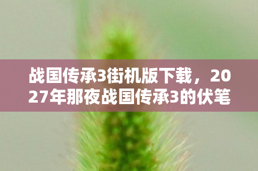 2027年那夜战国传承3的伏笔图片