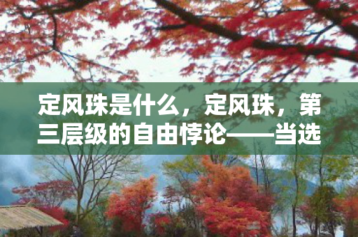 当选择成为命运枷锁的震颤之魂图片