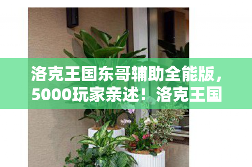 洛克王国东哥辅助疑点重重图片