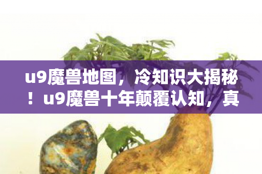 u9魔兽十年颠覆认知图片