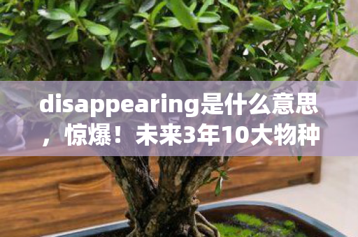 未来3年10大物种将disappearing图片