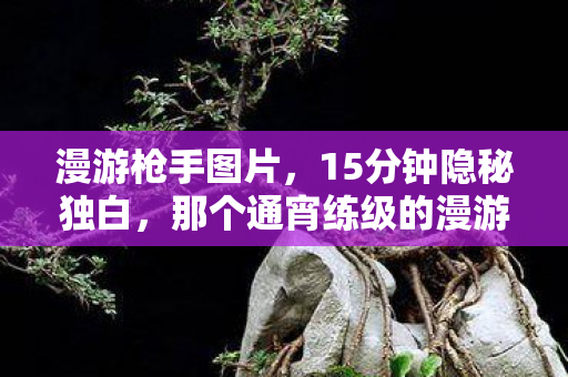 那个通宵练级的漫游枪手图片