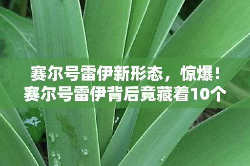 赛尔号雷伊背后竟藏着10个颠覆认知的神秘设计图片