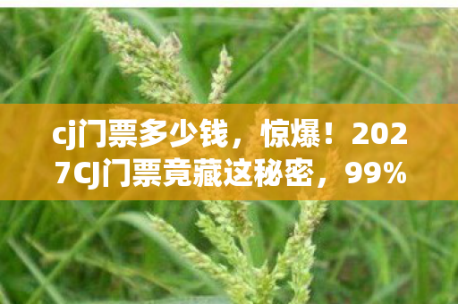2027CJ门票竟藏这秘密图片