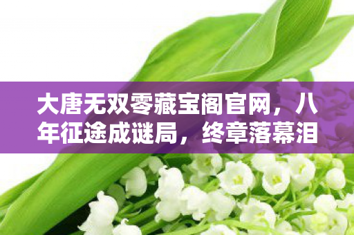 大唐无双零藏宝阁官网图片