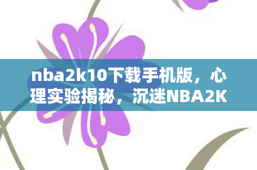 沉迷NBA2K10的细思极恐自我麻醉之旅图片
