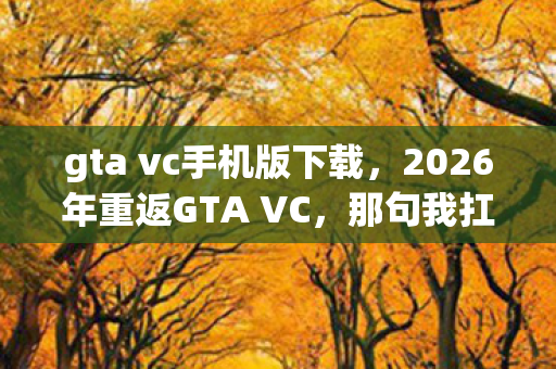 2026年重返GTA VC图片