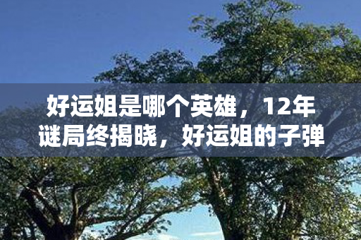 好运姐的子弹为何总慢半拍图片