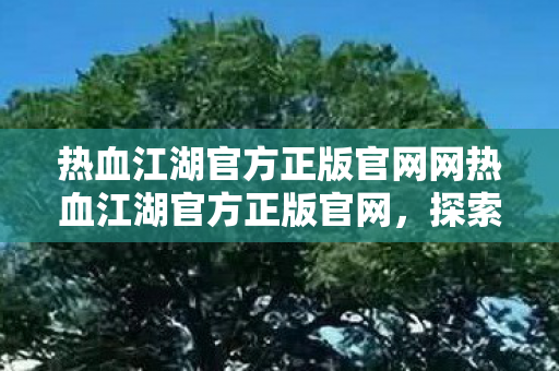 热血江湖官方正版官网网热血江湖官方正版官网，探索经典武侠世界的正版之旅，热血江湖官方正版官网，探索经典武侠世界的正版之旅