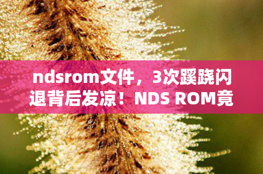 NDS ROM竟藏着人性深渊的致命代码图片