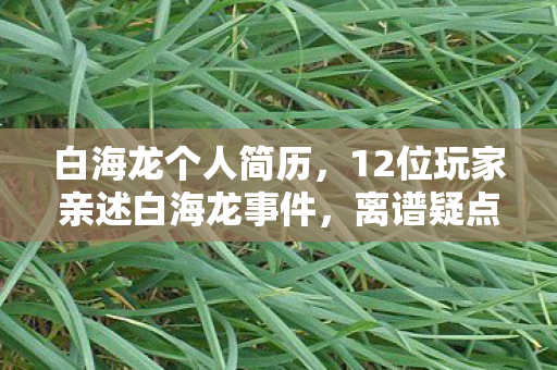 12位玩家亲述白海龙事件图片