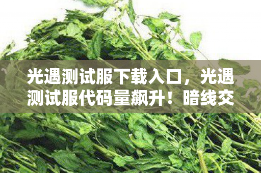 光遇测试服代码量飙升图片