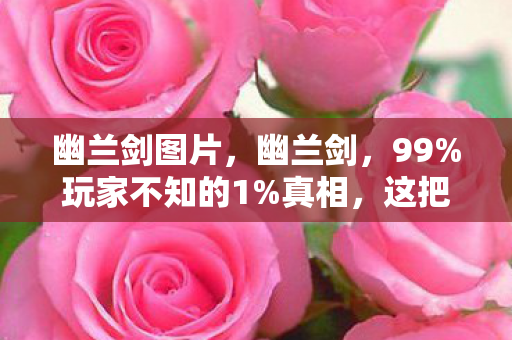 这把剑刺穿了多少人的江湖梦图片