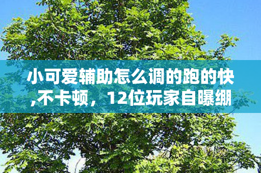 小可爱辅助竟成网吧泪腺开关图片