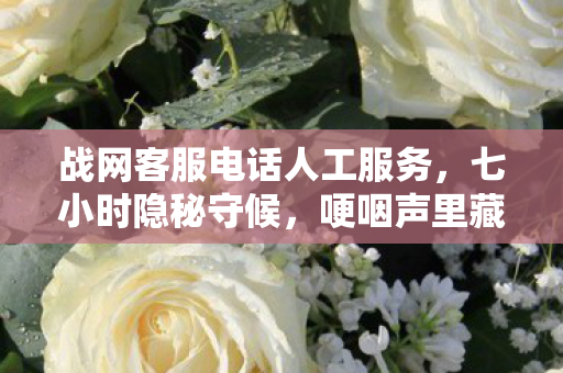 哽咽声里藏着多少战网老玩家的青春图片