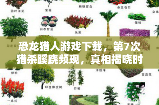 第7次猎杀蹊跷频现图片