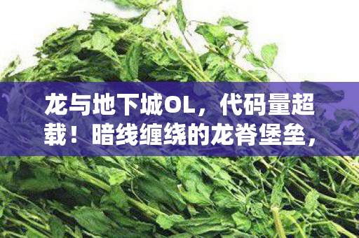 暗线缠绕的龙脊堡垒图片