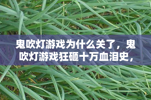 鬼吹灯游戏狂砸十万血泪史图片