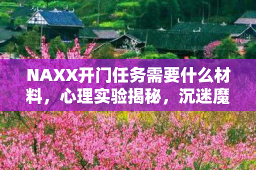 NAXX开门任务需要什么材料图片