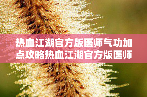 热血江湖官方版医师气功加点攻略热血江湖官方版医师气功加点详解，热血江湖官方版医师气功加点攻略，提升战斗能力，打造最强医师！